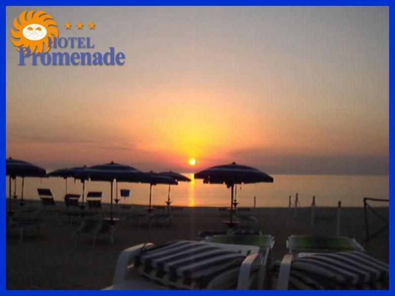 Porto SantʼElpidio Hotel Promenade מראה חיצוני תמונה