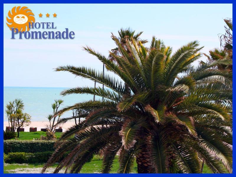 Porto SantʼElpidio Hotel Promenade מראה חיצוני תמונה